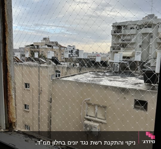 רשת מתכת על חלון למניעת כניסת יונים